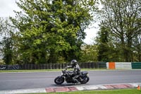 Lower Group Black Bikes